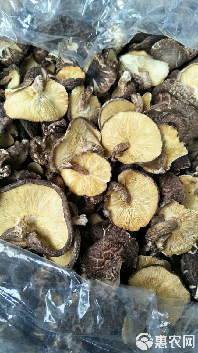 椴木香菇\木头香菇\原木香菇\野生香菇——香味浓郁，产地直批