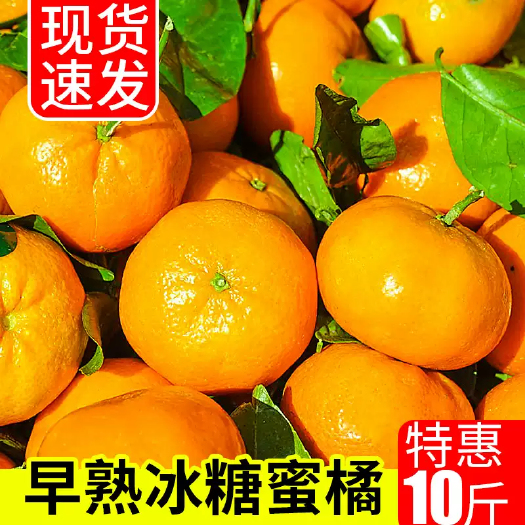 慈利县富硒柑橘  自家的果子，自家的箱子,自家的公司以及自己出快递单号，