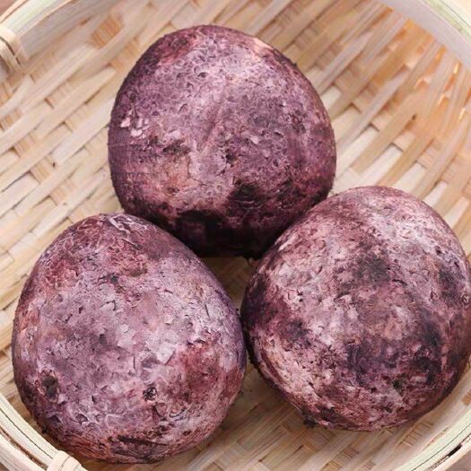长宁县 竹荪蛋鲜蛋冰鲜
