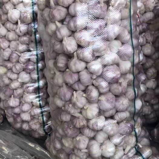 金乡县红皮蒜  金乡大蒜，各种规格大蒜，超市，市场批发，代收代存冷库出租