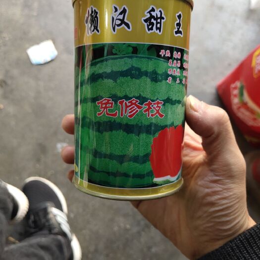 夏邑县甜王西瓜种子 懒汉甜王，抗重茬，免修枝省工省时