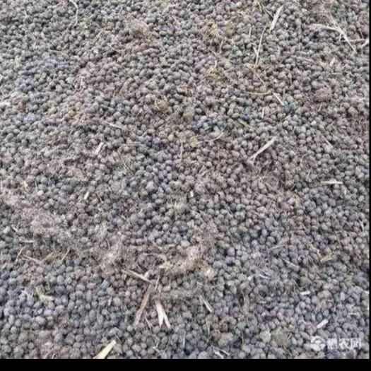 沈丘县羊粪