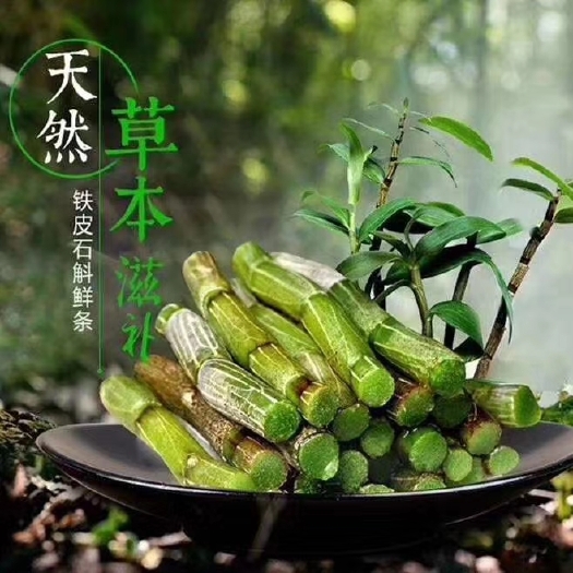 霍山县铁皮石斛  石斛鲜条