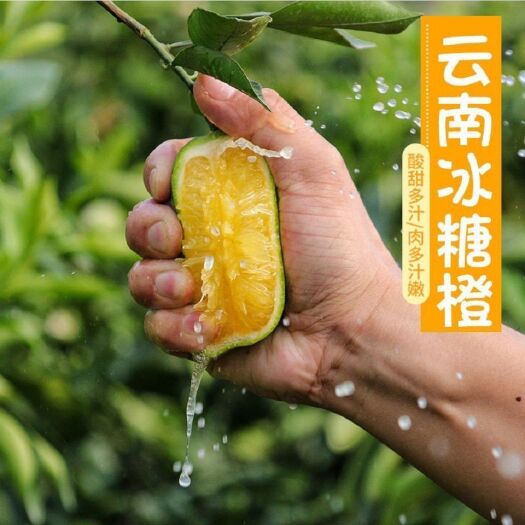 新平县 云南冰糖橙大量上架 果肉细腻无渣  清甜可口 产地直发 新鲜