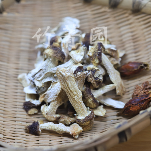 长宁县 赤松茸球盖菌干货
