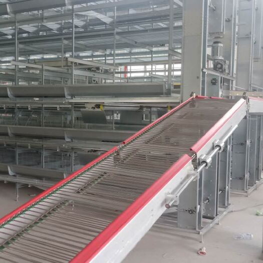 西平县鸡笼 新品六层大层叠