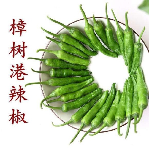 湘阴县樟树港辣椒 