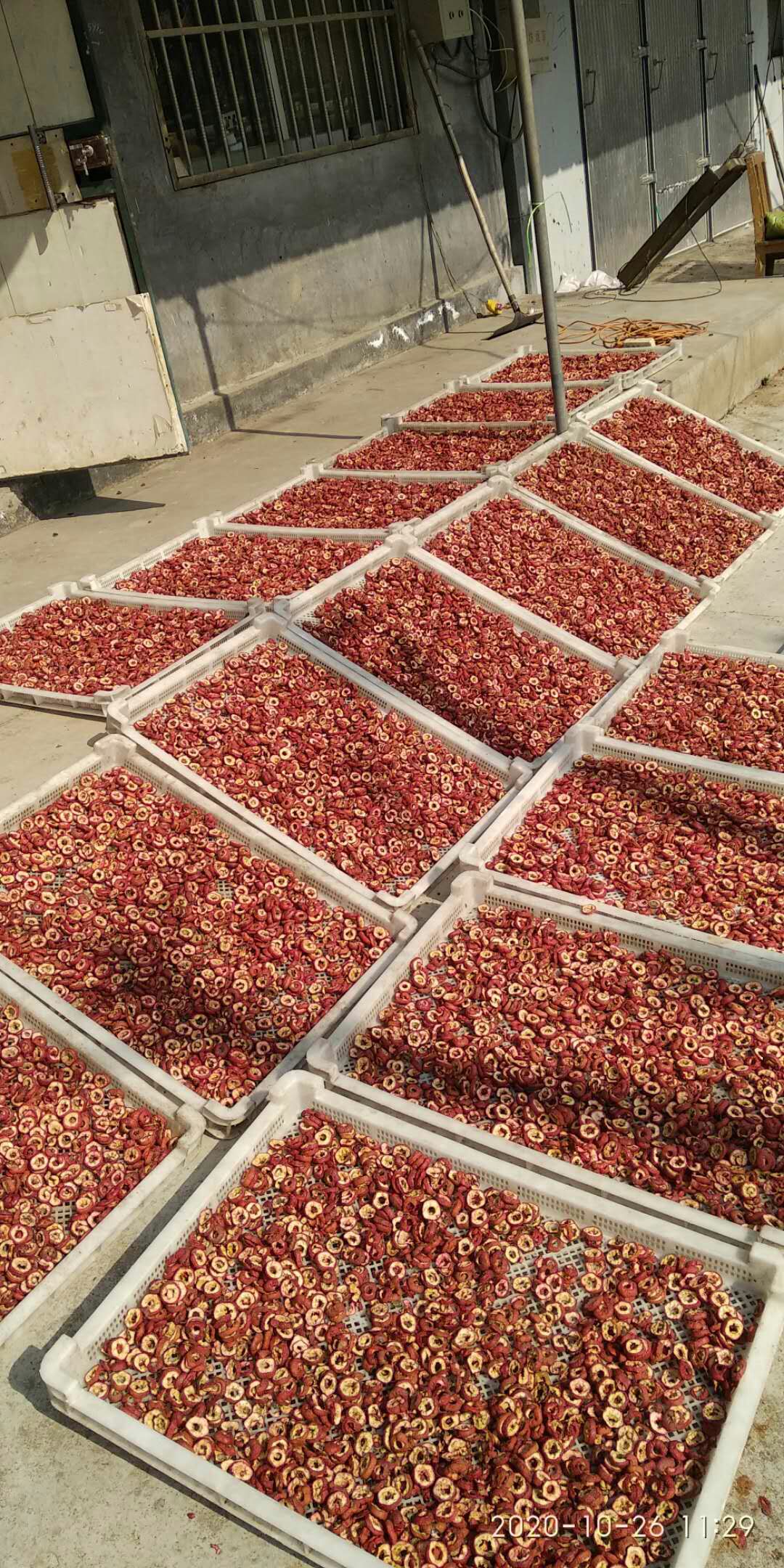 山楂片 沂蒙山农家自种加工。量大从优