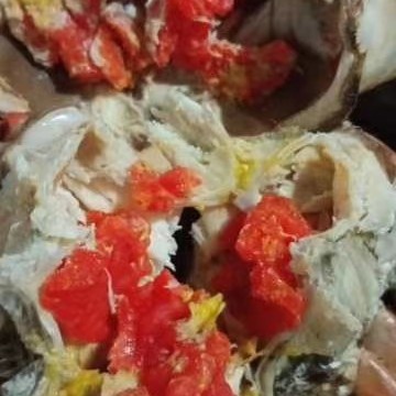 漳浦县青蟹  本地膏蟹