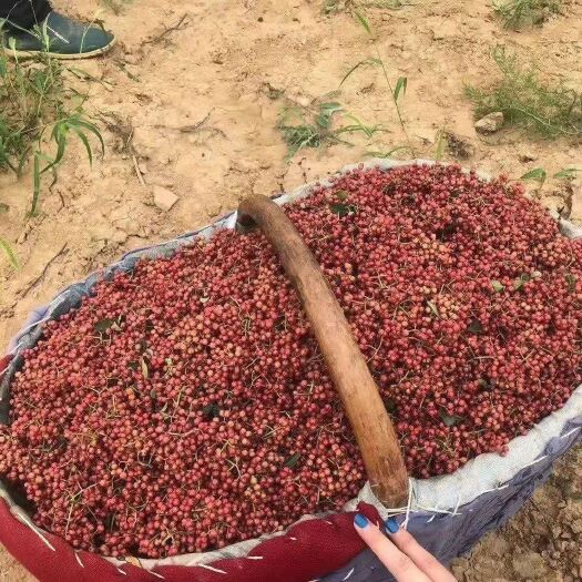 运城红花椒 农家自产自销的花椒，没有中间商赚差价，请大家放心购买。
