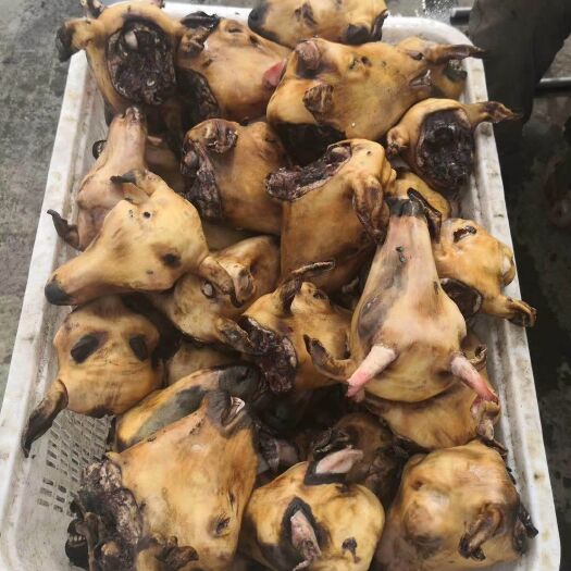 兰州 火燎毛羊头