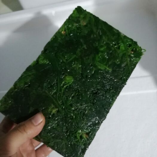 虞城县速冻荠菜，出成率高的速冻荠菜