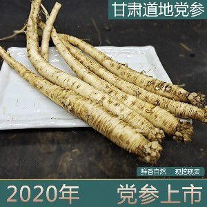 渭源县党参