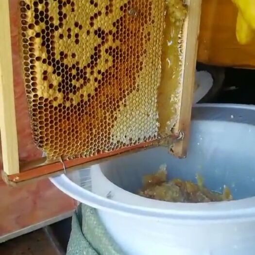 榕江县农户自家养土蜂蜜，蜂场环境优美，蜂蜜纯真，口感好