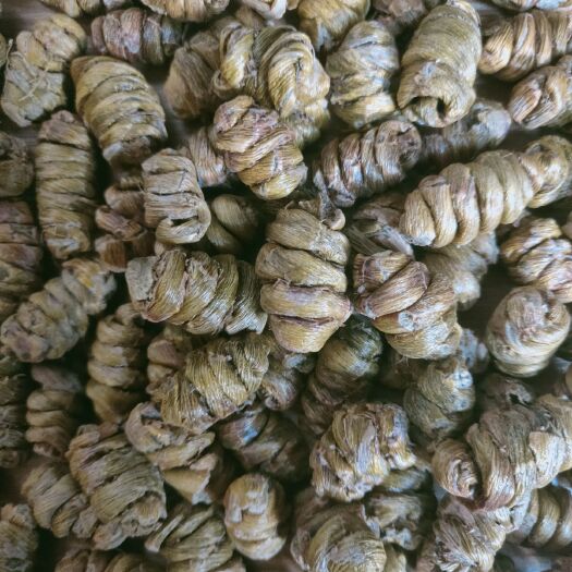 芒市铁皮石斛枫斗