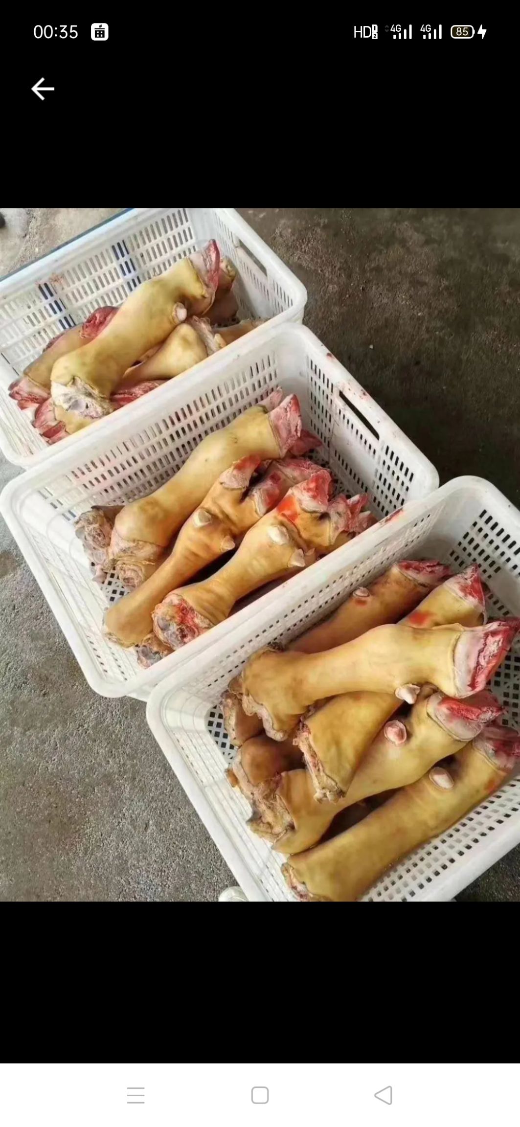  清真火烧毛牛蹄，每天有鲜货，质量保证