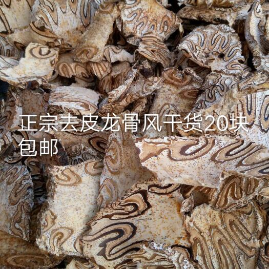 博白县五花龙骨  广西玉林博白县云飞鲜草.龙骨风飞天擒劳桫椤.去皮切片干货足干