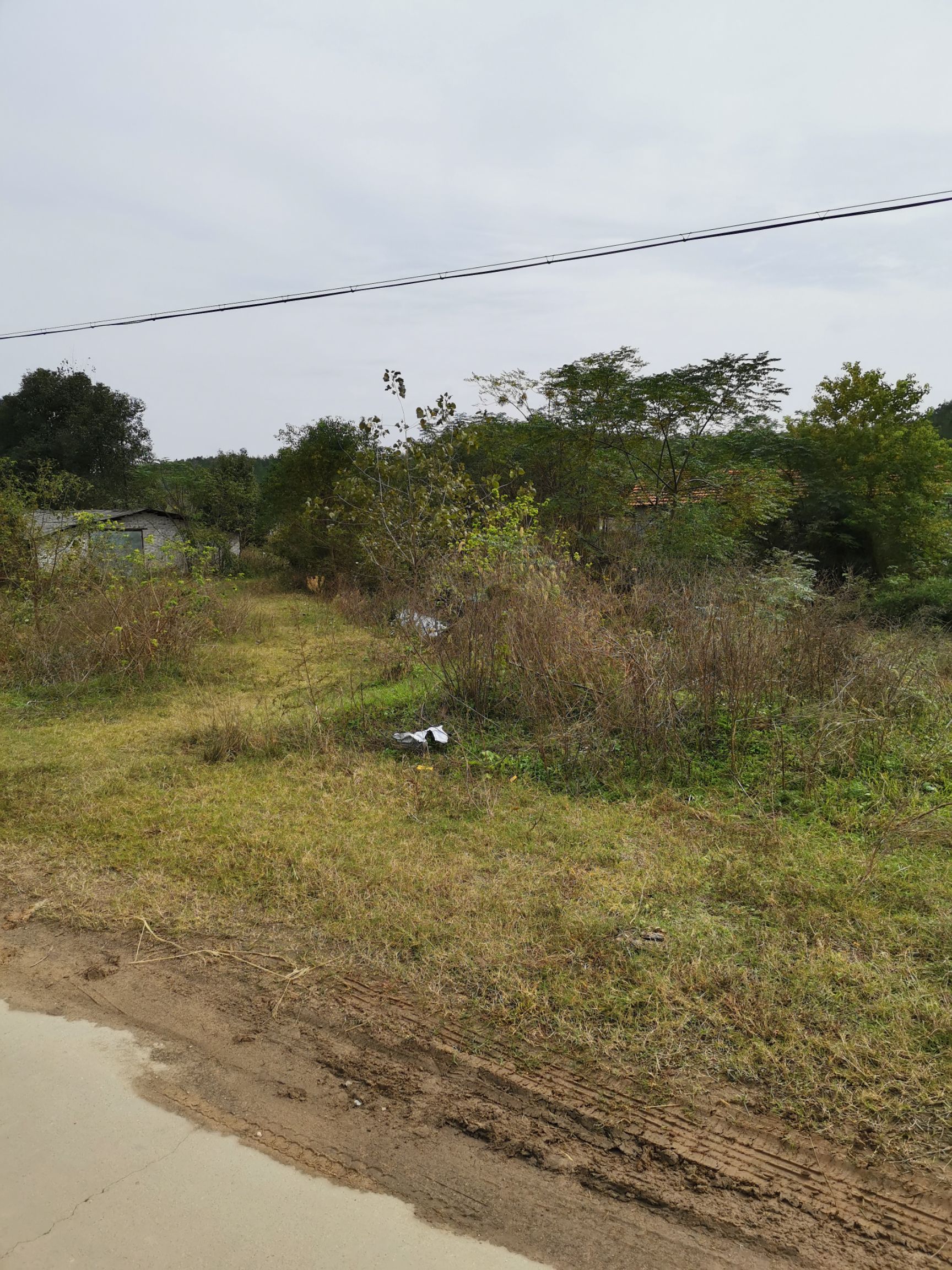 天然草地  武汉周边基建养殖场诚意寻找爱做农业的人