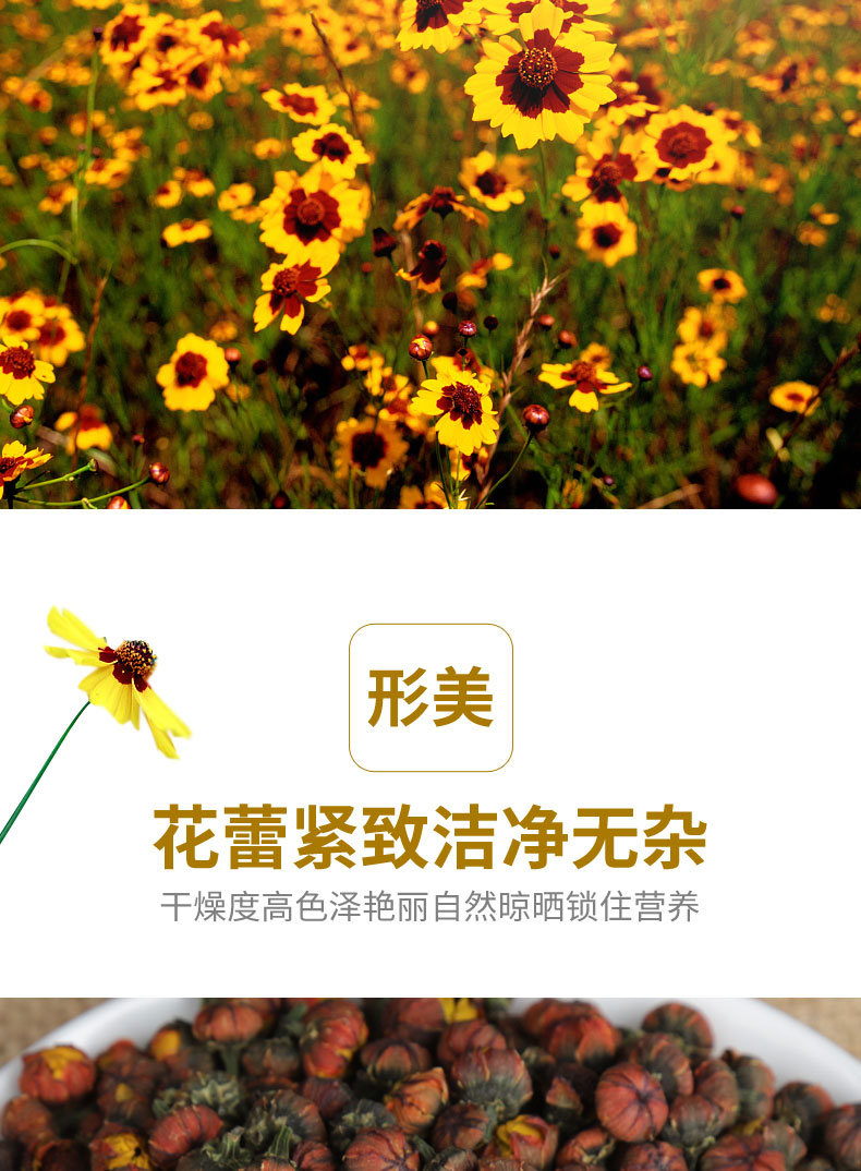  雪菊胎菊新疆昆仑雪菊胎菊 雪菊胎菊王新菊花散装 实体店发