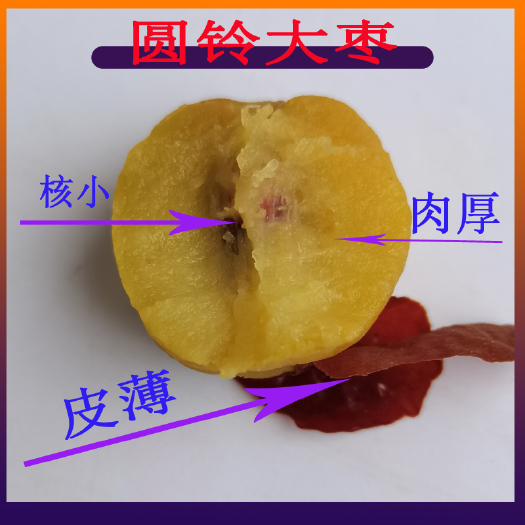 聊城休闲零食  厂家直供当季鲜蒸枣冻枣冰枣一级冷鲜枣速冻熟红枣
