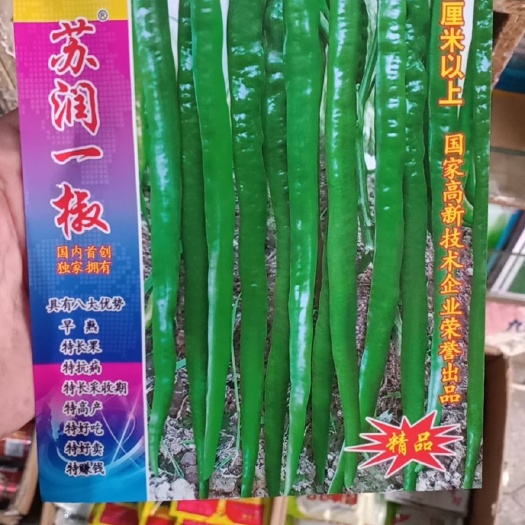 上饶苏润辣椒种子  苏润一椒