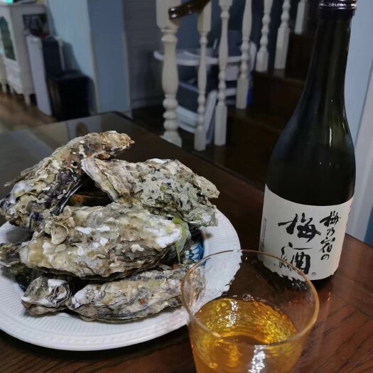 海阳市海阳牡蛎  深海爆汁生蚝