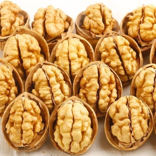 沧县新疆薄皮核桃纸皮核桃批发