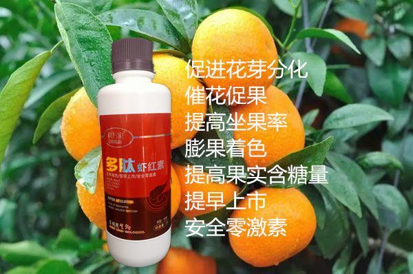 南宁高钾叶面肥 高磷高钾促进花芽分化膨果着色提早上市大量元素水溶肥叶面肥