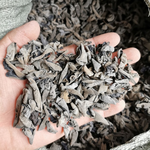 黑木耳  云耳1.2大小    黑山小耳   10斤起包邮