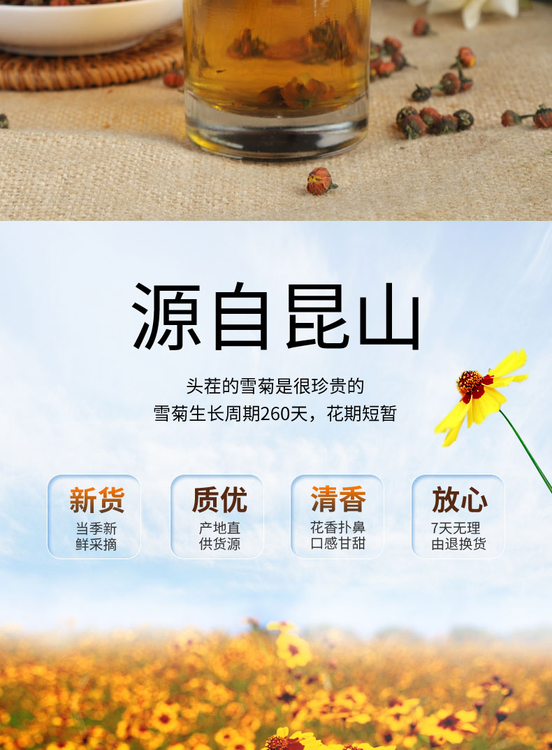  雪菊胎菊新疆昆仑雪菊胎菊 雪菊胎菊王新菊花散装 实体店发