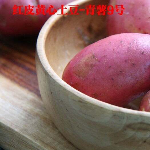 丽江红皮黄心土豆10斤 青薯9号 支持一件代发