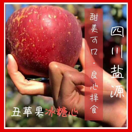 盐源县盐源丑苹果冰糖心产地直销现摘现发