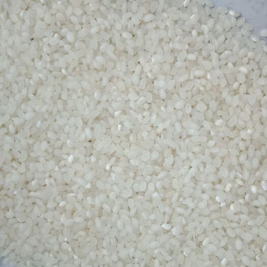 宝应县南粳9108大米 新米