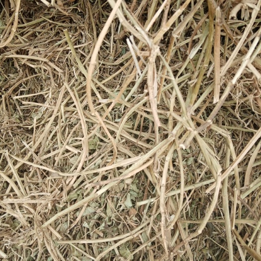 汝南县花生秧  保证质量耐储存