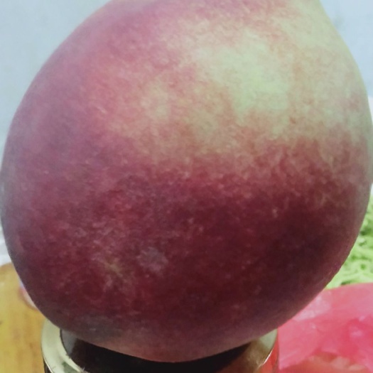 临朐县青州蜜桃，离核，清香，脆甜