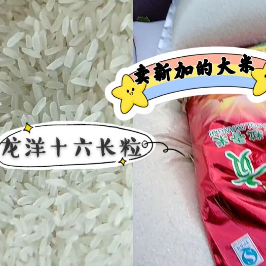 泰来县 东北大米，龙洋十六长粒