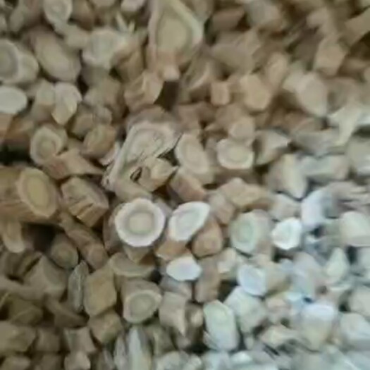 包头黄芪切片  内蒙古黄芪小圆片统货，保化验