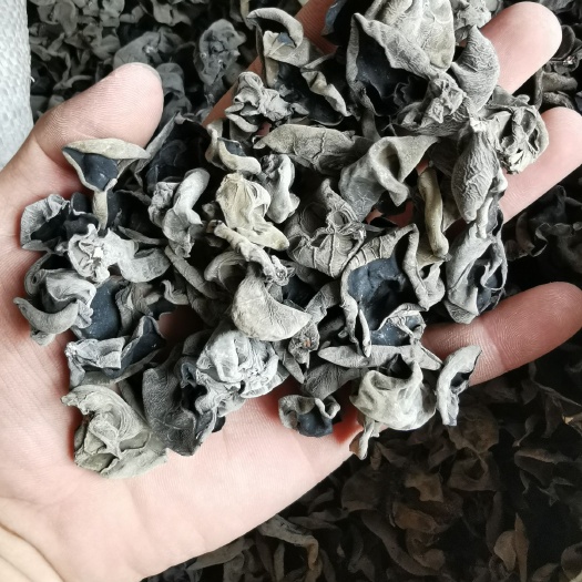 黑木耳 冬耳 1.2大小 黑山 新货 包邮