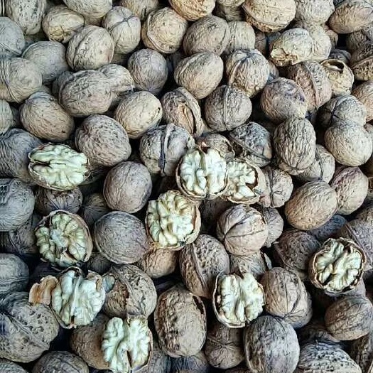 云龙县纸皮核桃 秋季是吃核桃的好季节，核桃是个好东西，毋庸置疑，营养丰富又补