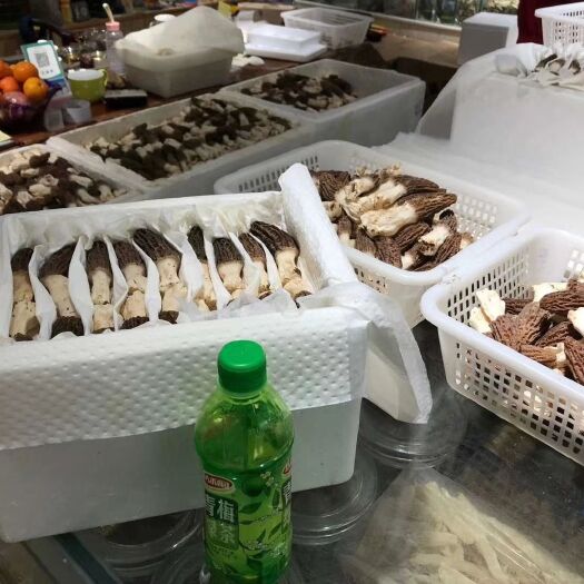 济宁 羊肚菌鲜品，一千克装，待嫁闺中