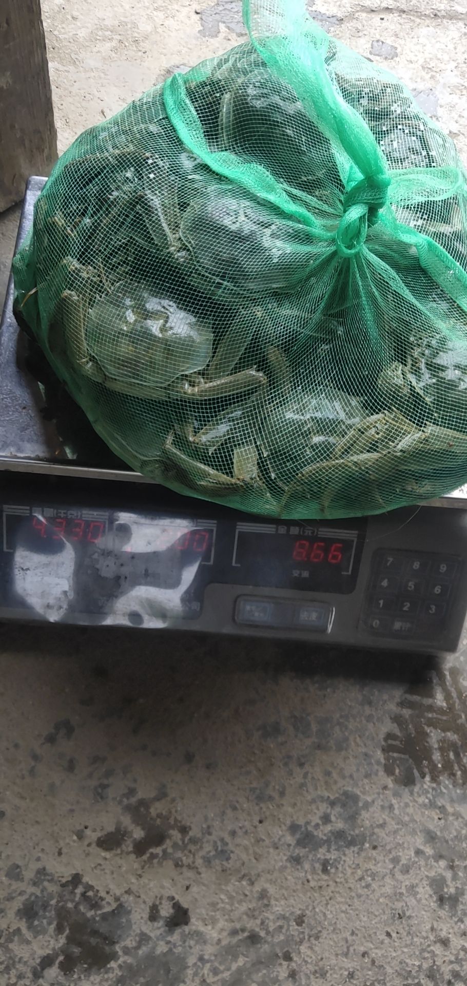 大闸蟹礼盒装代发，全国接单，茶水丰富