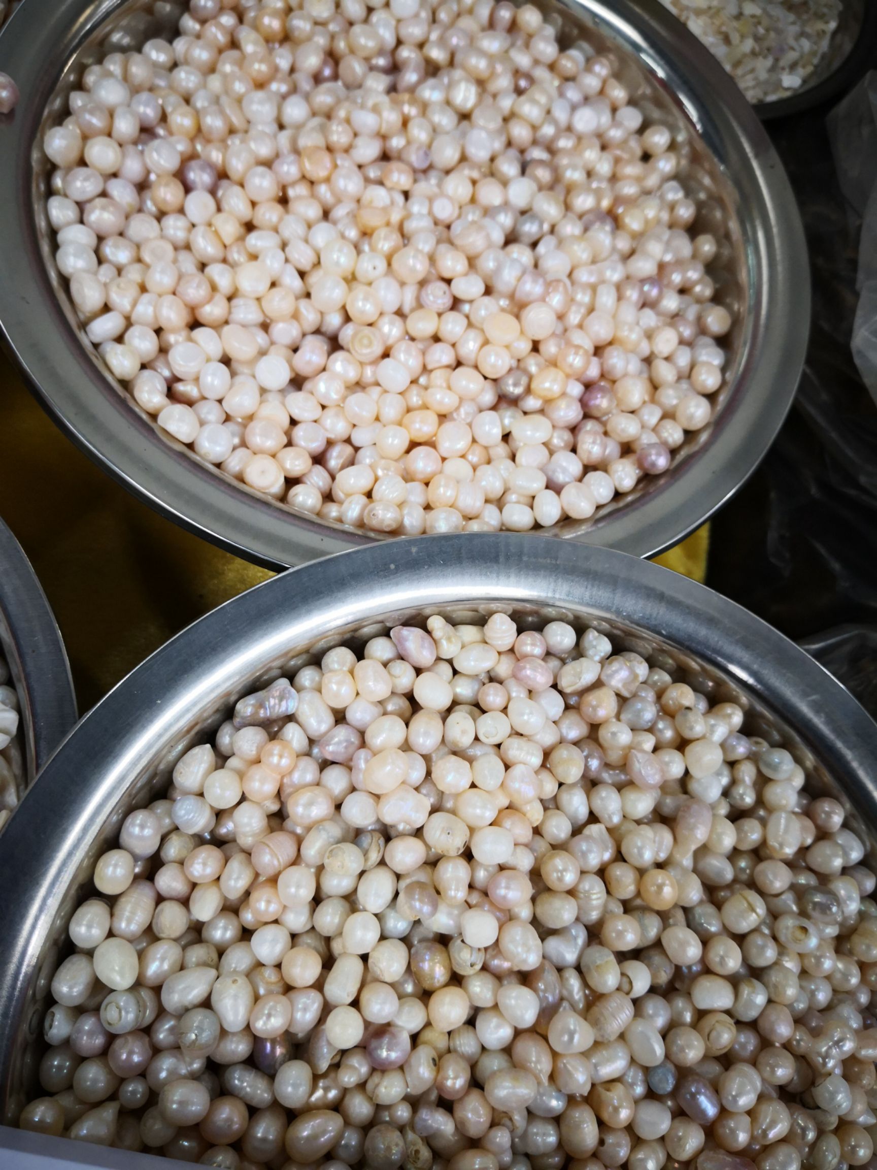 中药材珍珠 各种规格 量大从优