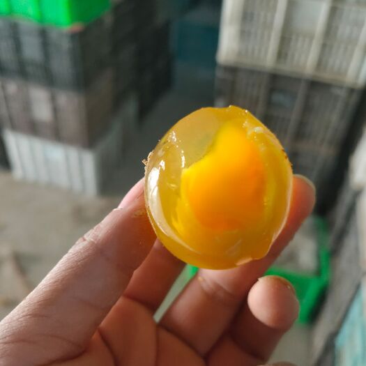 郑州皮蛋  大规格