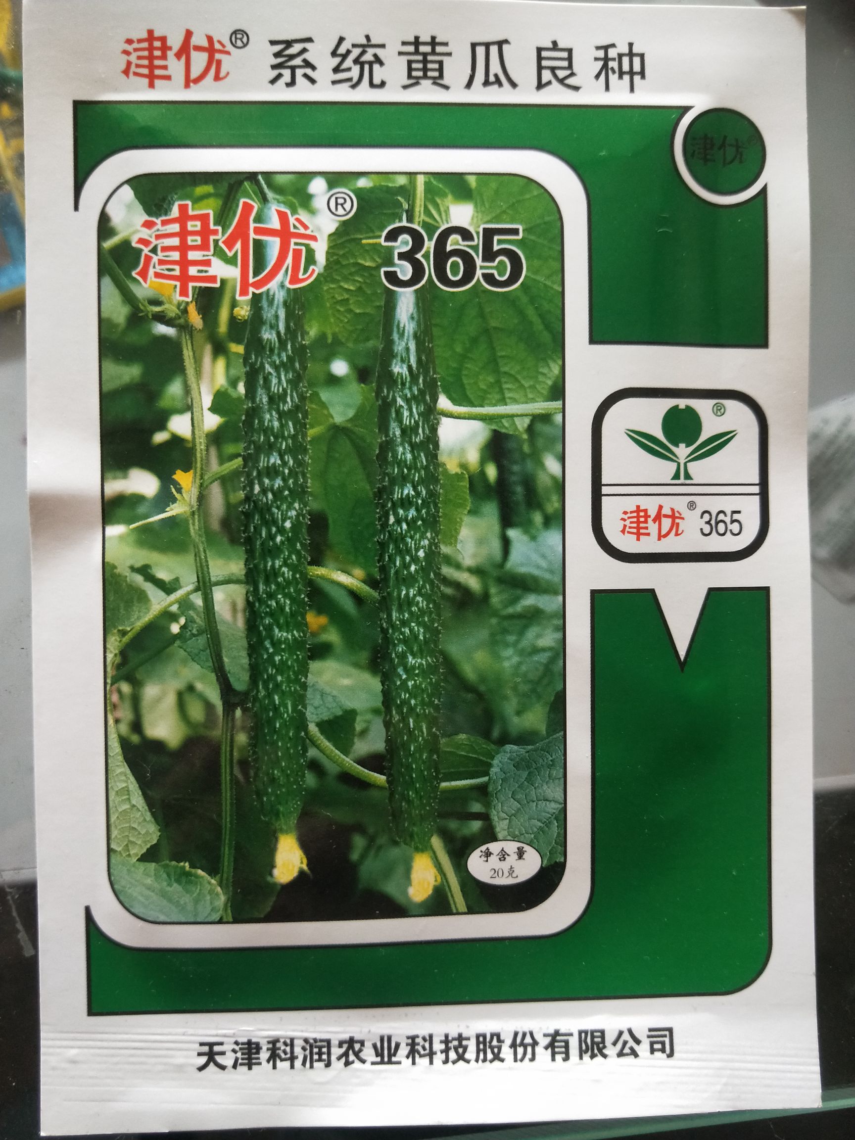 夏邑县津优365  颜色油亮顺直，高温不黄头，连续带瓜
