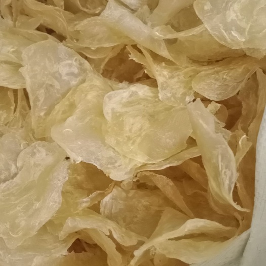 杭州蝴蝶胶花胶鱼肚厂价直销批发零售