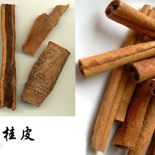 藤县普通桂皮  广西十万大山桂皮