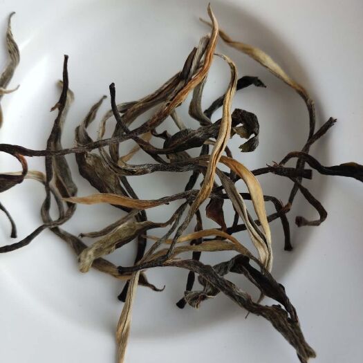 景谷县普洱白茶  普洱生茶