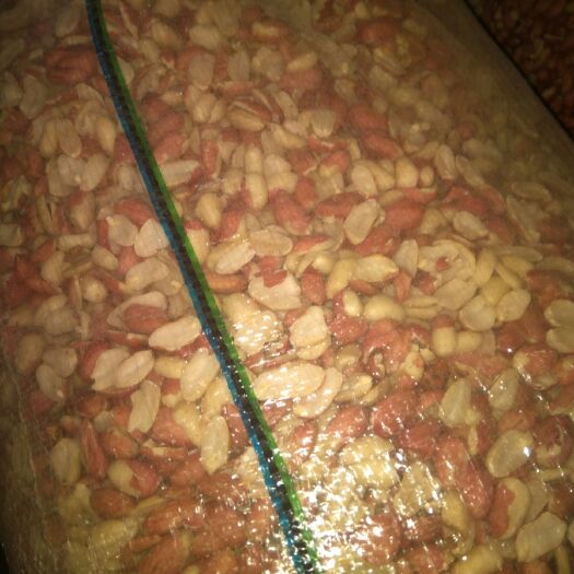 花生米大辨米，干净无杂无霉变，出油率高，是炸油，食品厂用。