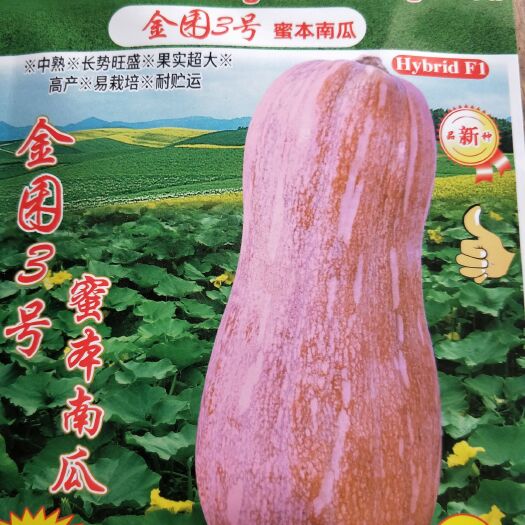宜城市果大高产耐贮蜜本南瓜种子