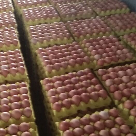 霍邱县红皮鸡蛋 食用 箱装 